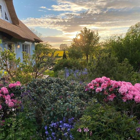 Reethaus Vilmnitz - Ferienwohnung Goor エクステリア 写真