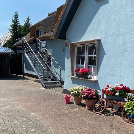 Reethaus Vilmnitz - Ferienwohnung Goor エクステリア 写真