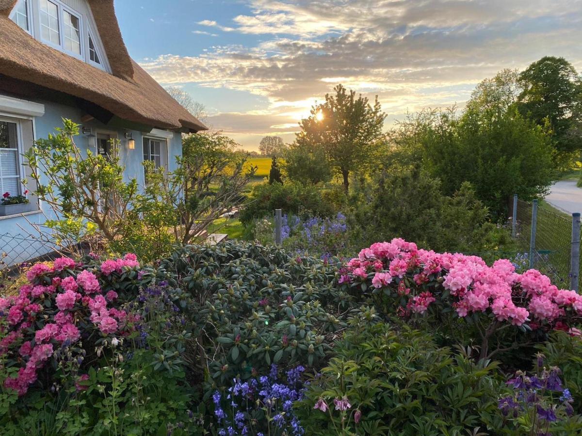 Reethaus Vilmnitz - Ferienwohnung Goor エクステリア 写真