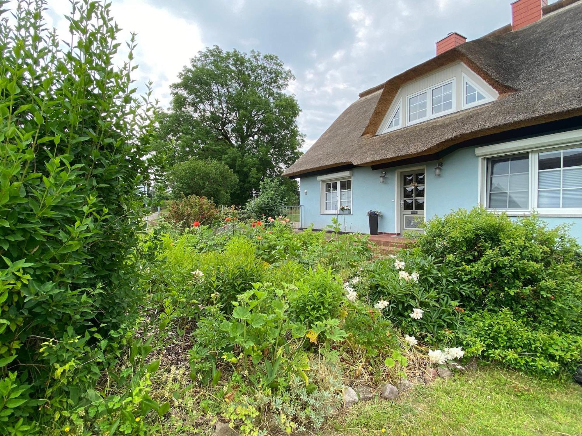 Reethaus Vilmnitz - Ferienwohnung Goor エクステリア 写真