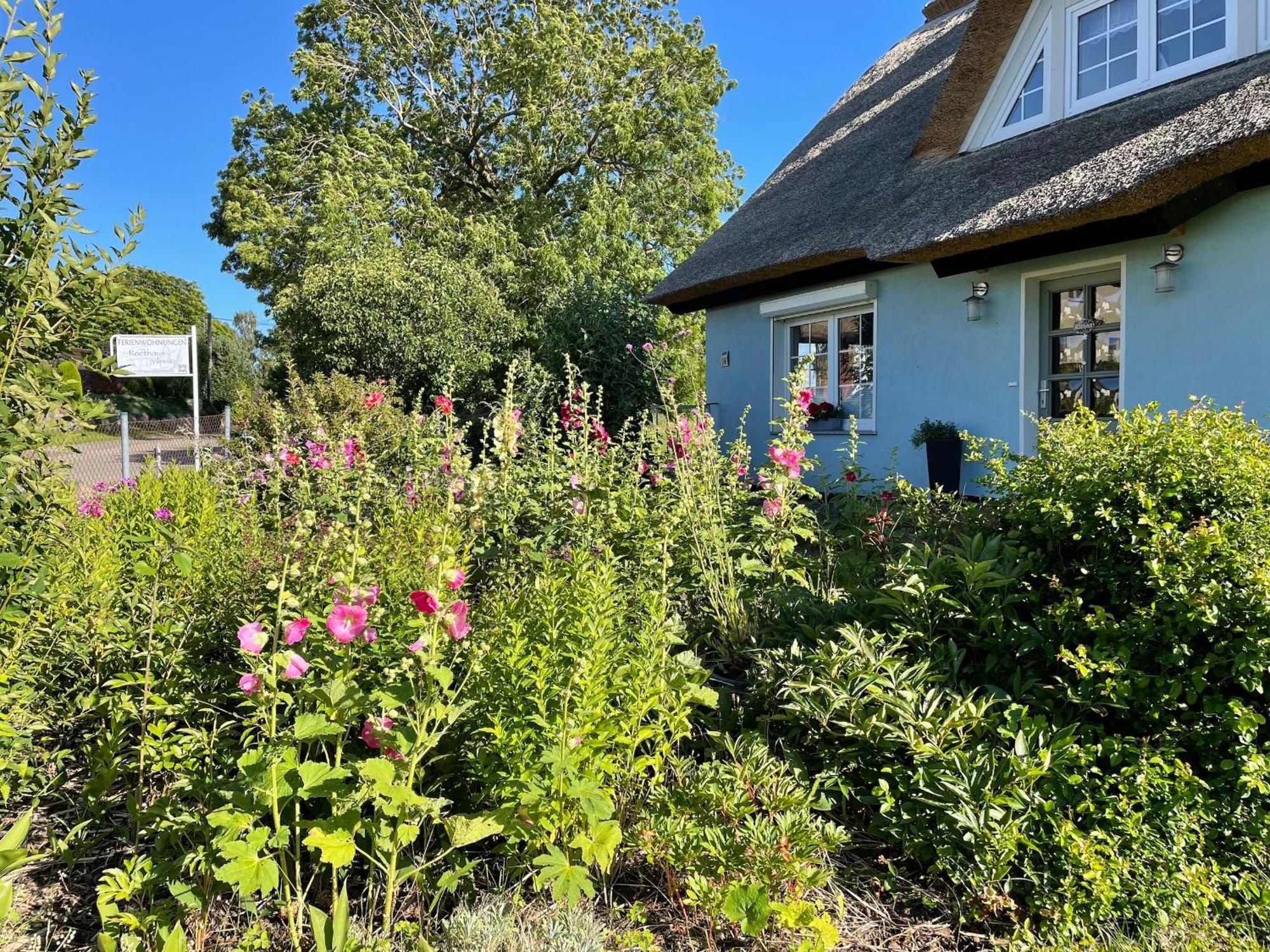 Reethaus Vilmnitz - Ferienwohnung Goor エクステリア 写真
